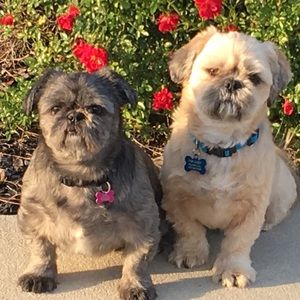 Meet your Posher, Arin